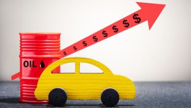 Mavis Oil Change Price: A Complete Guide to Costs, Services, and Savings